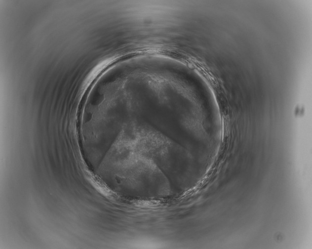 X0000091950147200709131211