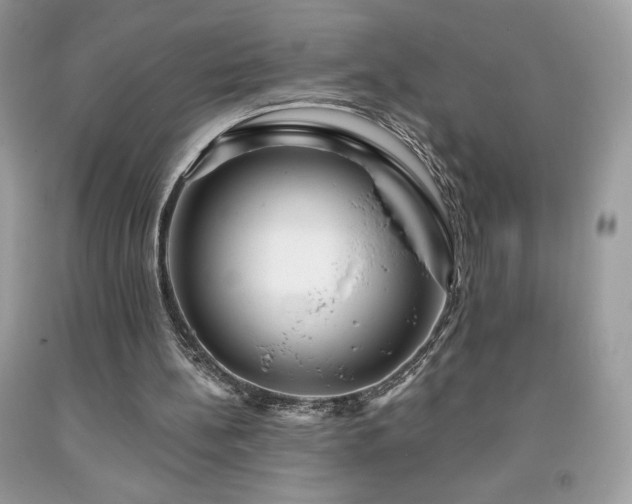 X0000091950148200709131211