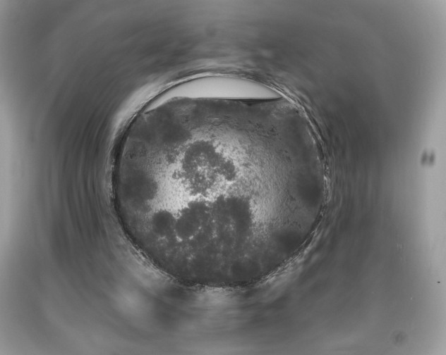 X0000091950149200709131211