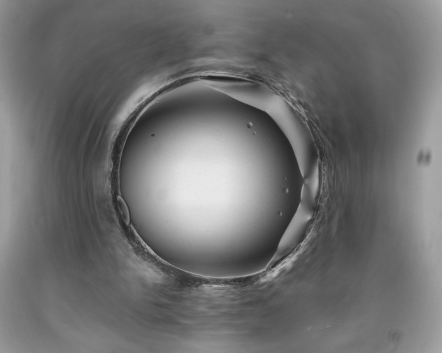 X0000091950150200709131211