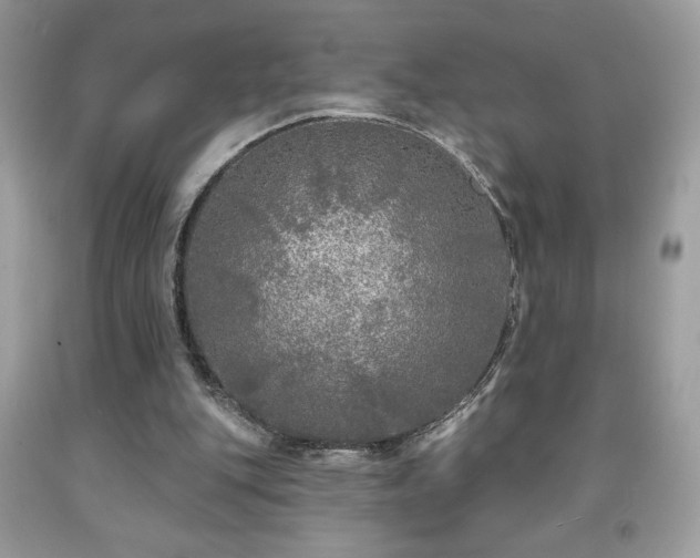 X0000091950151200709131211