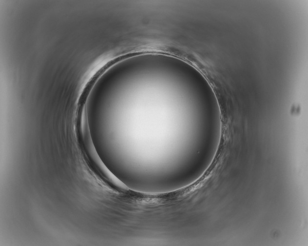 X0000091950152200709131211