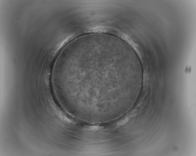 X0000091950153200709131211