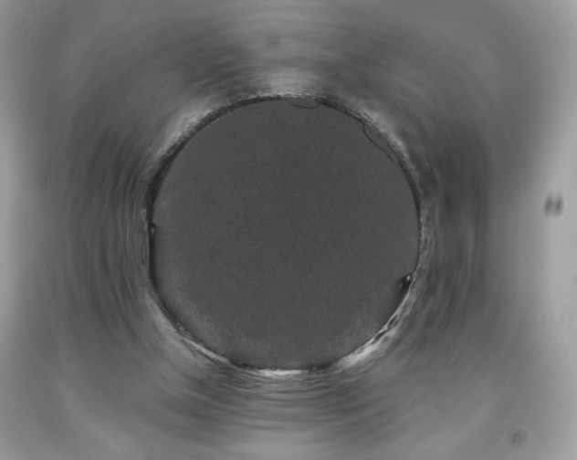 X0000091950154200709131211