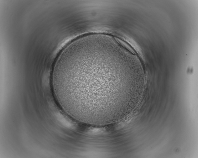 X0000091950155200709131211