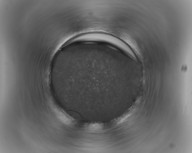 X0000091950156200709131211