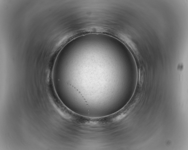 X0000091950157200709131211