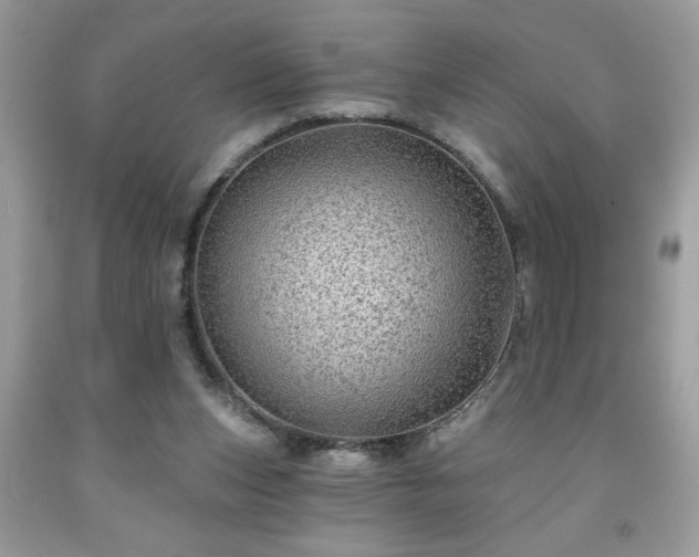 X0000091950159200709131211