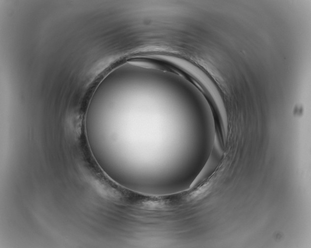 X0000091950160200709131211