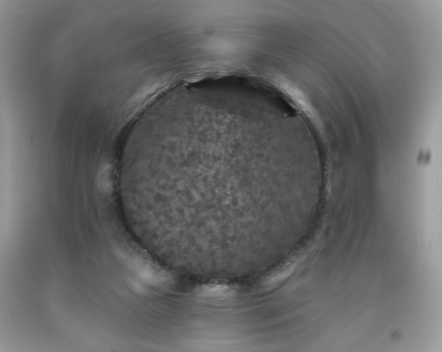 X0000091950161200709131211