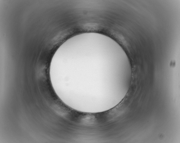 X0000091950162200709131211