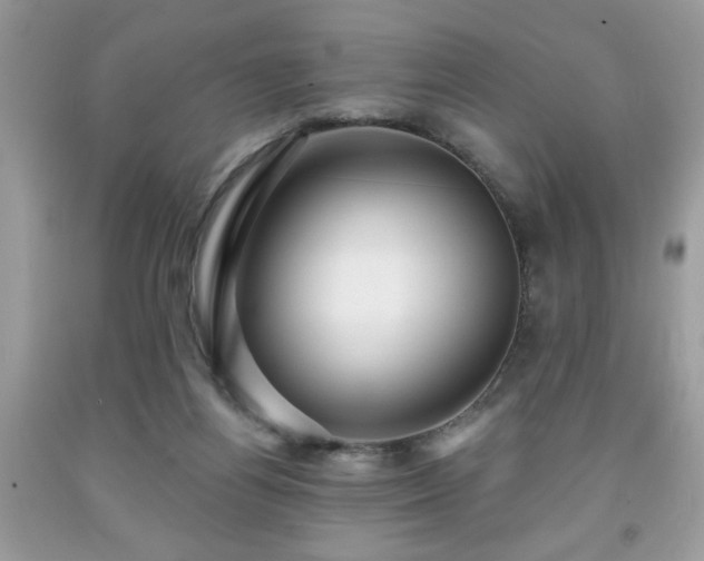 X0000091950164200709131211