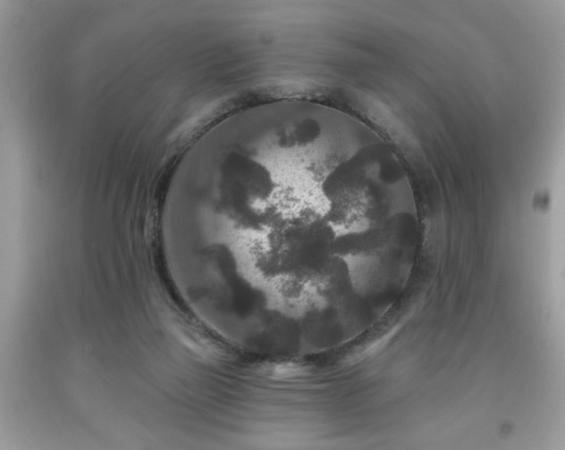 X0000091950165200709131211