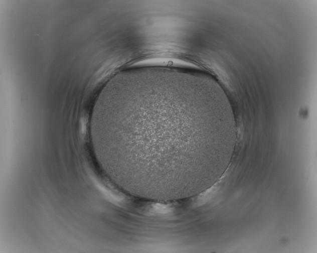 X0000091950166200709131211