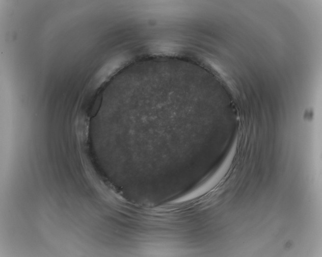 X0000091950168200709131211