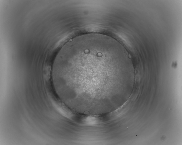 X0000091950171200709131211