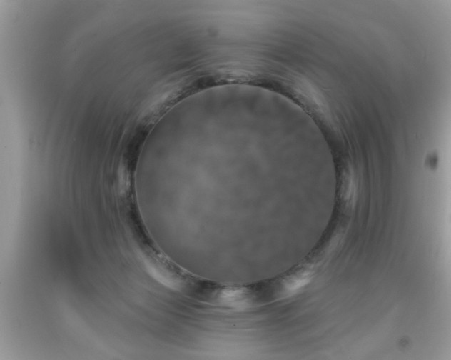 X0000091950173200709131211