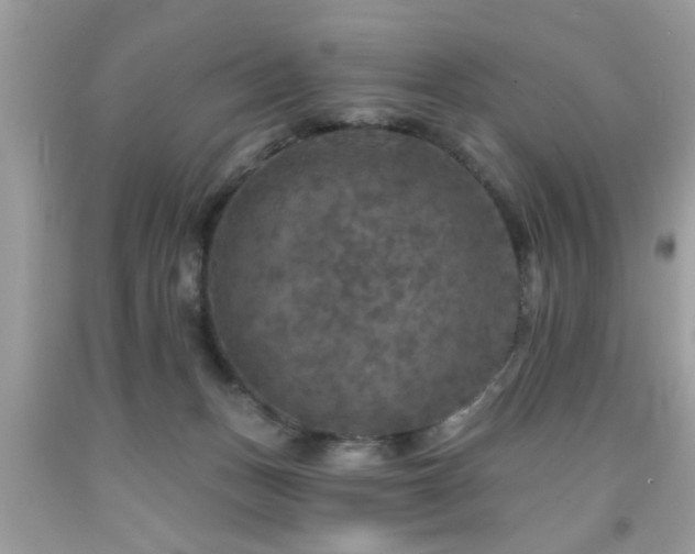 X0000091950175200709131211