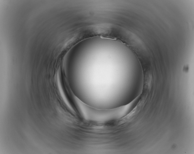 X0000091950176200709131211