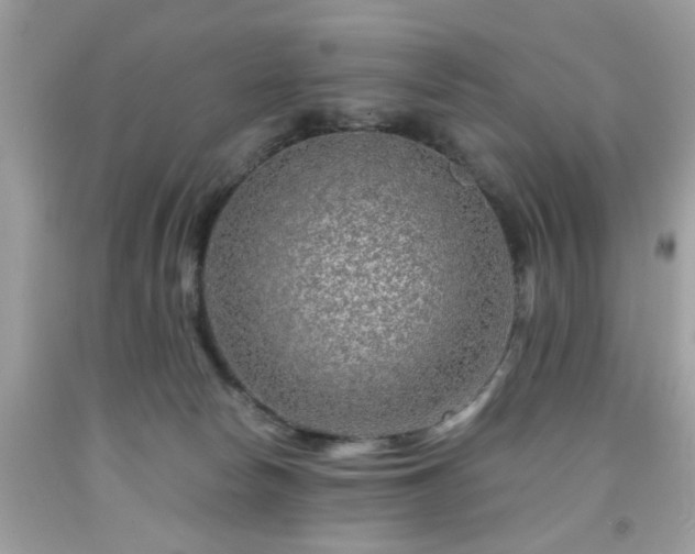 X0000091950178200709131211