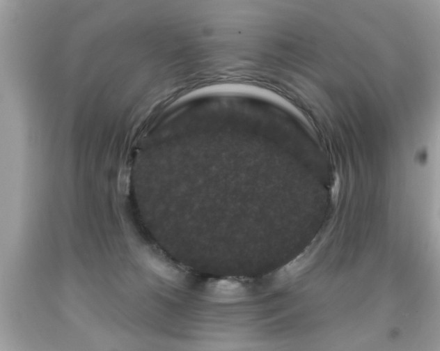 X0000091950180200709131211