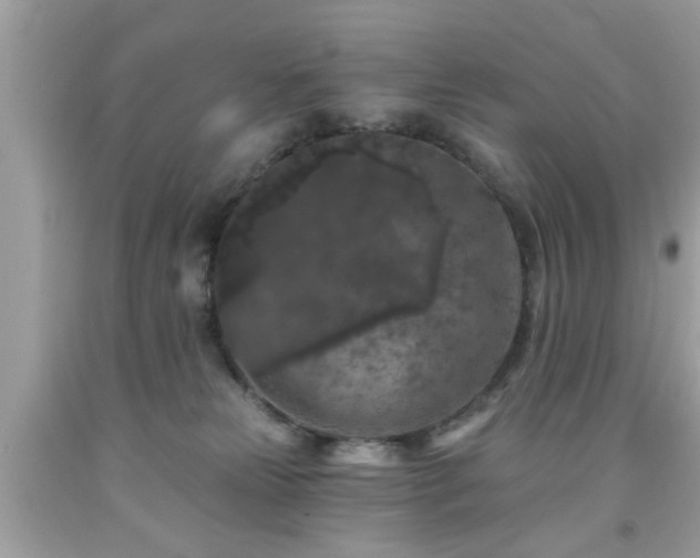 X0000091950181200709131211