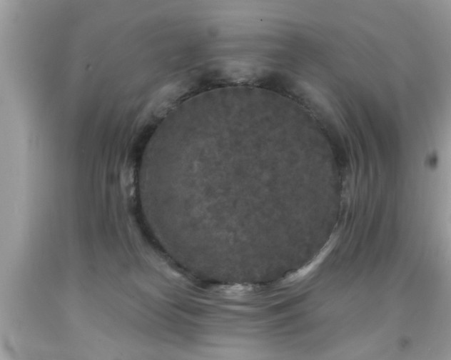 X0000091950182200709131211