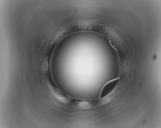 X0000091950183200709131211