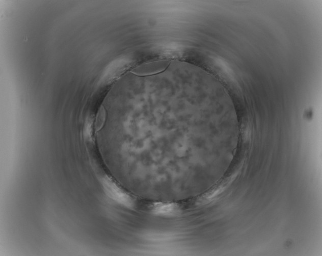 X0000091950185200709131211