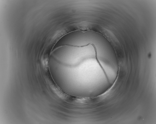 X0000091950190200709131211