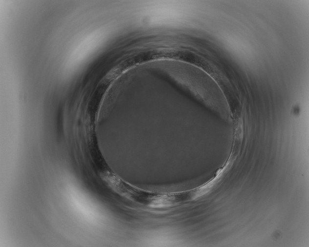 X0000091950191200709131211