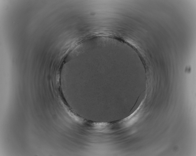 X0000091950192200709131211