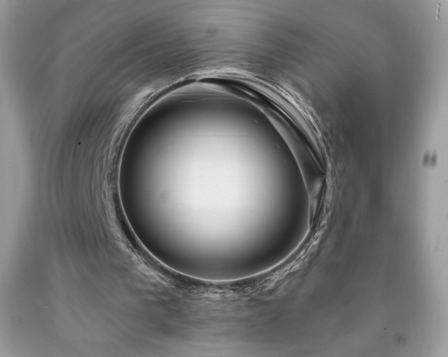 X0000091950193200709131211