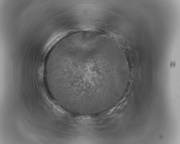 X0000091950194200709131211