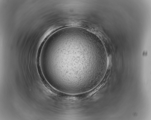 X0000091950195200709131211