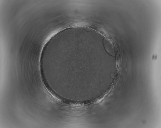 X0000091950196200709131211