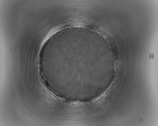 X0000091950198200709131211