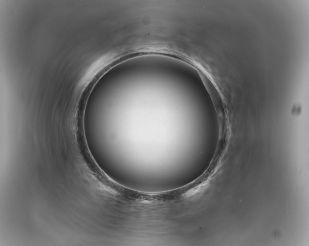 X0000091950199200709131211