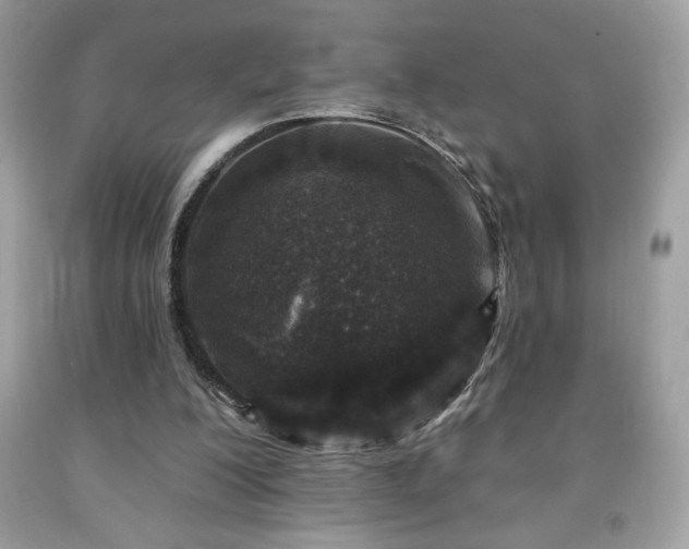 X0000091950200200709131211