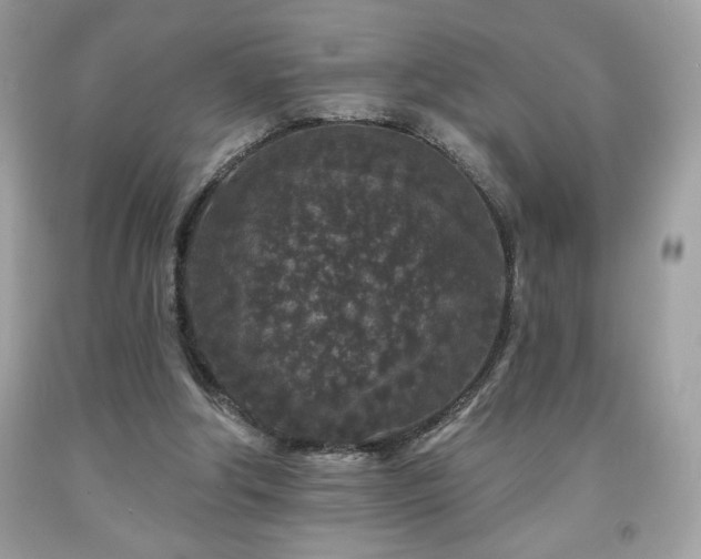 X0000091950202200709131211