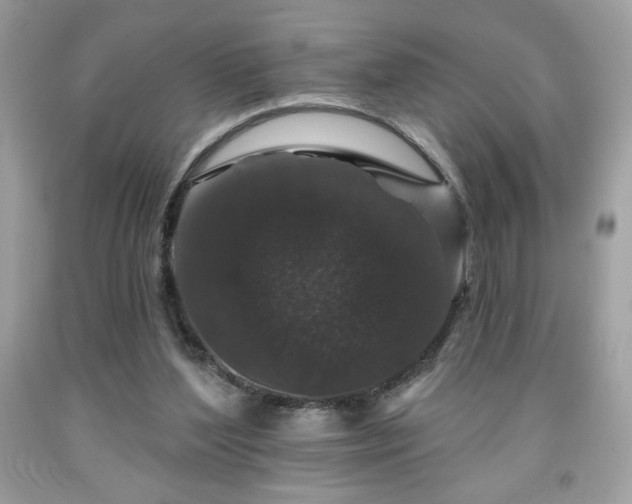 X0000091950204200709131211