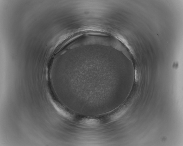 X0000091950205200709131210