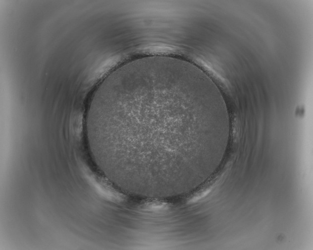 X0000091950206200709131210