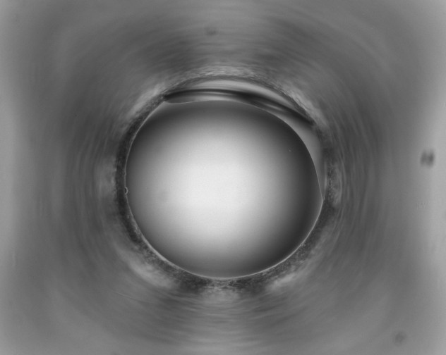 X0000091950207200709131210