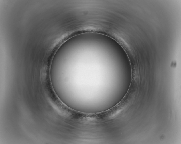 X0000091950208200709131210