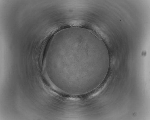 X0000091950209200709131210