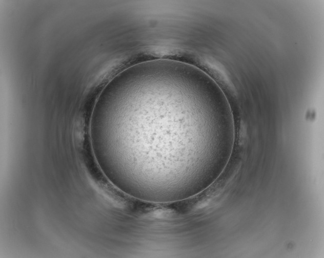 X0000091950210200709131210