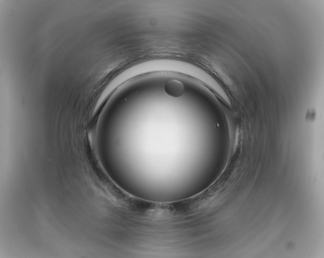 X0000091950211200709131210