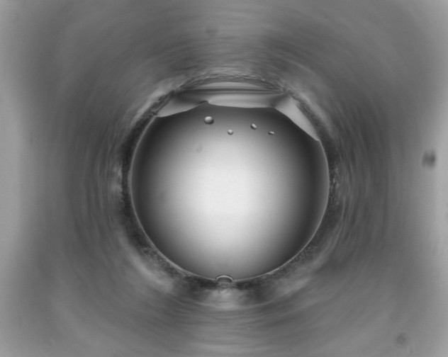 X0000091950212200709131210