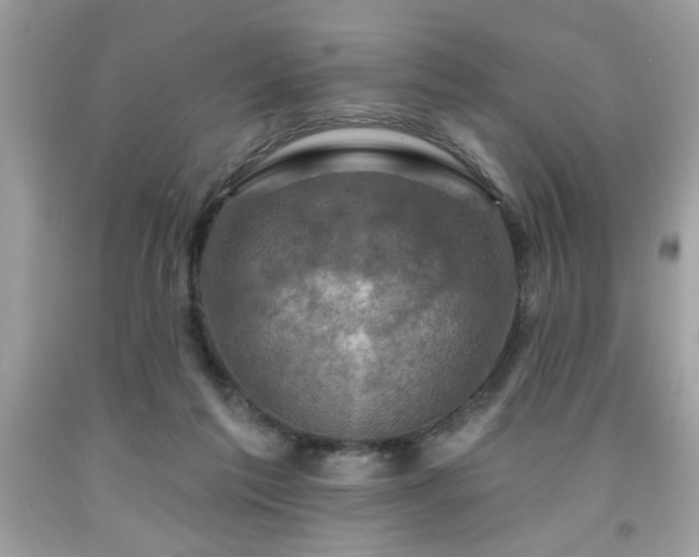 X0000091950213200709131210